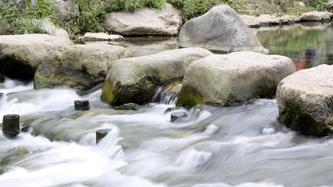 Pierres posées en gué à travers un torrent